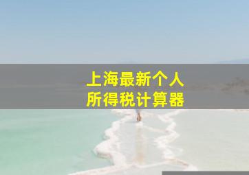 上海最新个人所得税计算器