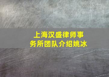 上海汉盛律师事务所团队介绍姚冰