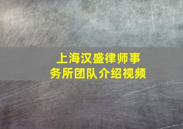 上海汉盛律师事务所团队介绍视频