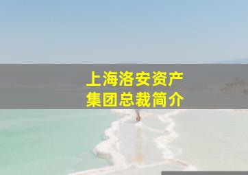 上海洛安资产集团总裁简介