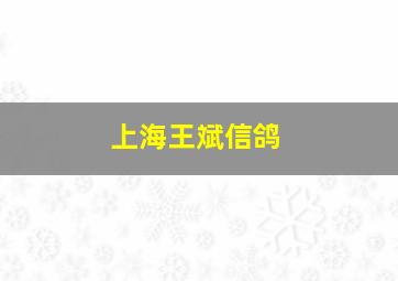 上海王斌信鸽