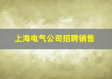 上海电气公司招聘销售