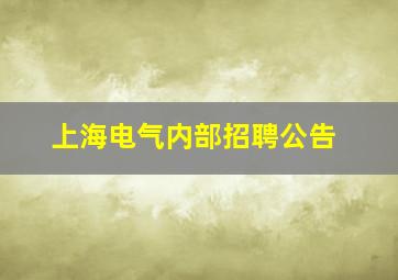 上海电气内部招聘公告