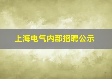 上海电气内部招聘公示