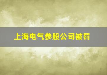 上海电气参股公司被罚