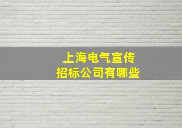 上海电气宣传招标公司有哪些