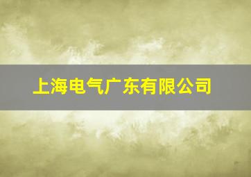 上海电气广东有限公司