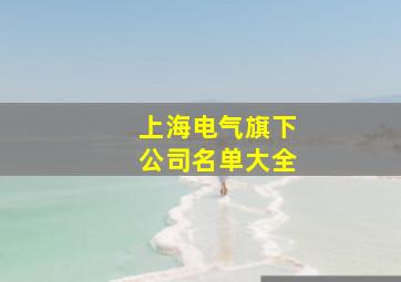 上海电气旗下公司名单大全