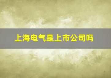 上海电气是上市公司吗