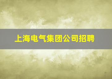 上海电气集团公司招聘