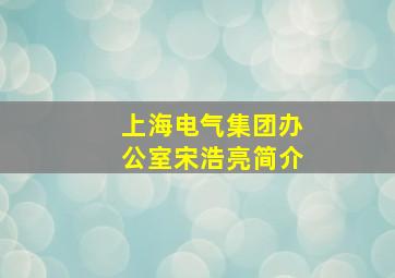 上海电气集团办公室宋浩亮简介