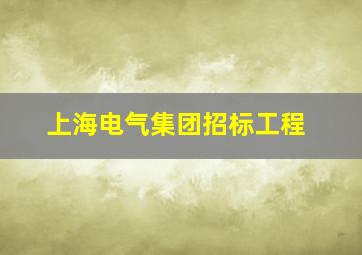 上海电气集团招标工程