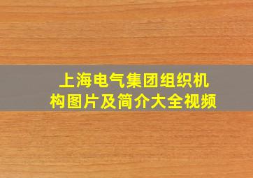 上海电气集团组织机构图片及简介大全视频