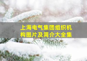 上海电气集团组织机构图片及简介大全集