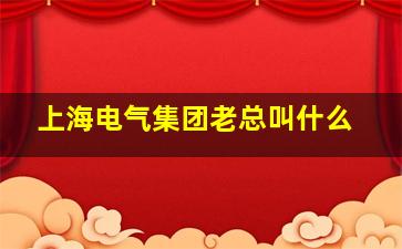 上海电气集团老总叫什么