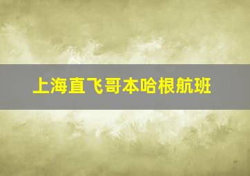 上海直飞哥本哈根航班