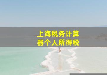 上海税务计算器个人所得税