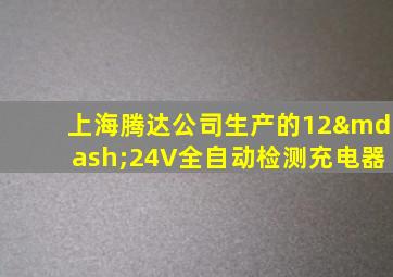 上海腾达公司生产的12—24V全自动检测充电器