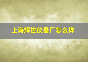 上海辉世仪器厂怎么样