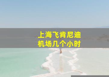 上海飞肯尼迪机场几个小时