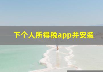 下个人所得税app并安装