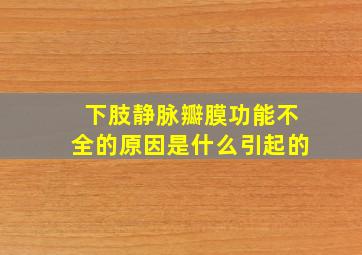 下肢静脉瓣膜功能不全的原因是什么引起的