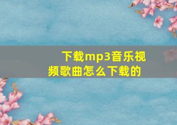 下载mp3音乐视频歌曲怎么下载的