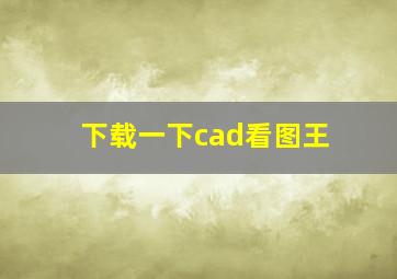 下载一下cad看图王