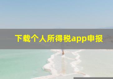 下载个人所得税app申报