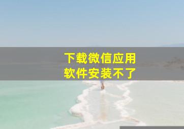 下载微信应用软件安装不了