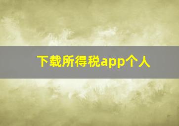 下载所得税app个人