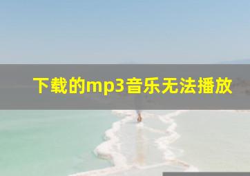 下载的mp3音乐无法播放