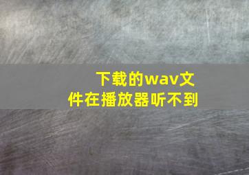 下载的wav文件在播放器听不到