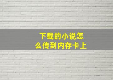 下载的小说怎么传到内存卡上