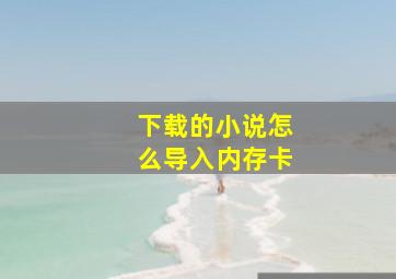 下载的小说怎么导入内存卡