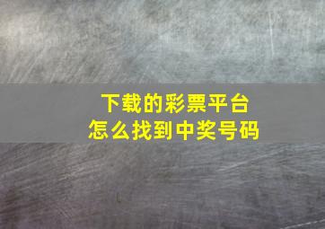 下载的彩票平台怎么找到中奖号码