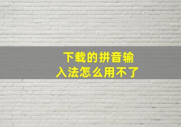 下载的拼音输入法怎么用不了