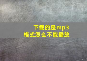 下载的是mp3格式怎么不能播放