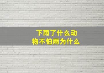 下雨了什么动物不怕雨为什么