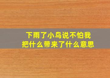 下雨了小鸟说不怕我把什么带来了什么意思