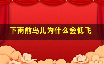 下雨前鸟儿为什么会低飞