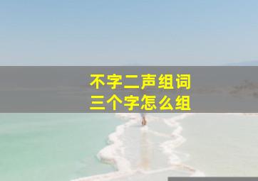 不字二声组词三个字怎么组