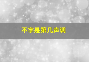 不字是第几声调