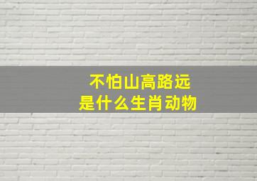 不怕山高路远是什么生肖动物