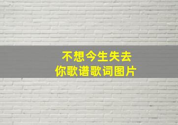 不想今生失去你歌谱歌词图片