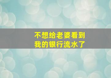 不想给老婆看到我的银行流水了