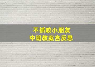 不抓咬小朋友中班教案含反思