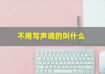 不用写声调的叫什么