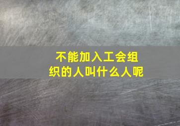 不能加入工会组织的人叫什么人呢