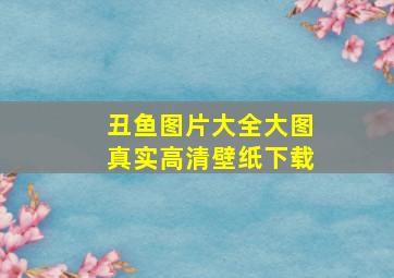 丑鱼图片大全大图真实高清壁纸下载